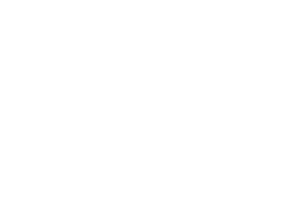 Fuel Motorcycles